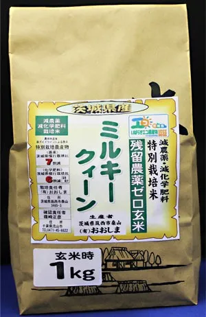令和7年産 残留農薬ゼロ玄米 茨城県産ミルキークイーン 玄米食最適米!